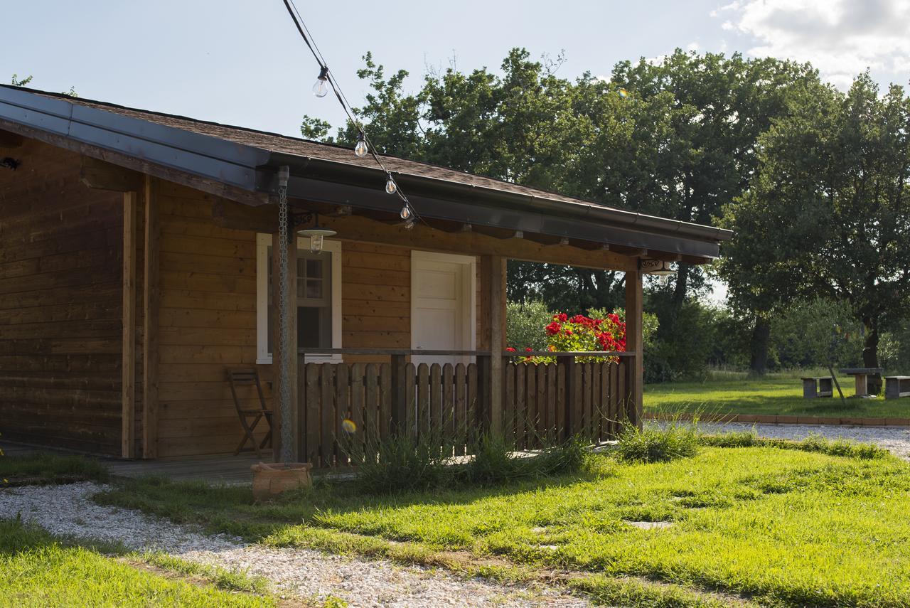 Evolution Camp 호텔 SantʼIppolito 외부 사진